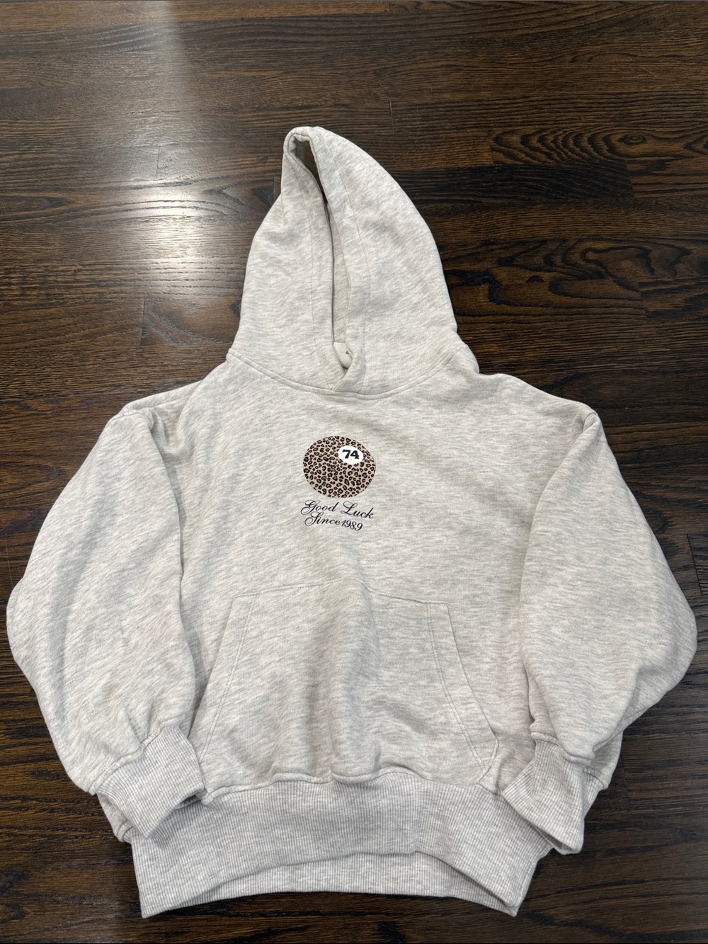 Zara Kids Light Gray Hoodie Sweatshirt with Leopard Logo